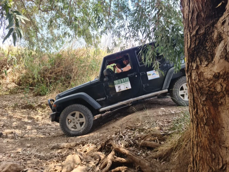 טיולי ג'יפים בישראל, טיולי ג'יפים בשטח, טיולי ג'יפים מותאמים אישית