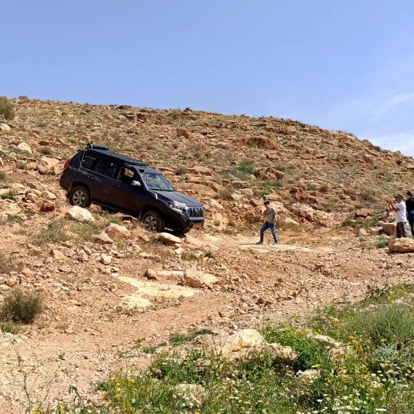 WhatsApp Image 2026-03-14 at 22.33.34 (2)