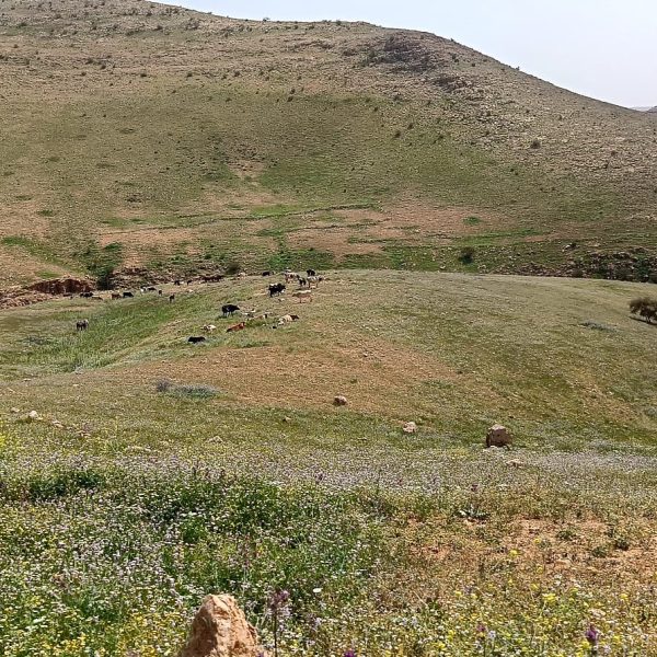 WhatsApp Image 2026-03-14 at 22.33.34 (4)