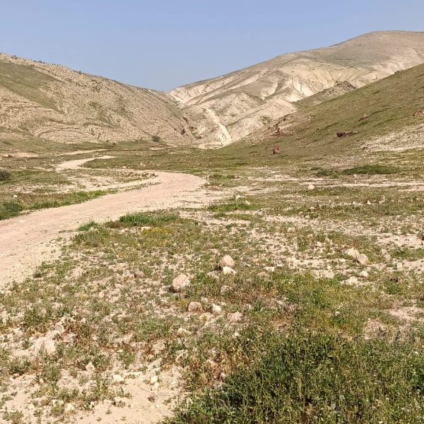 WhatsApp Image 2026-03-14 at 22.33.34 (6)