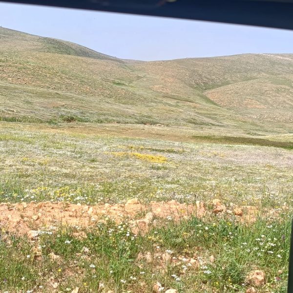 WhatsApp Image 2026-03-14 at 22.33.34