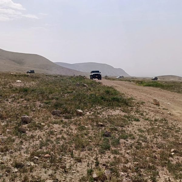 WhatsApp Image 2026-03-14 at 22.33.35