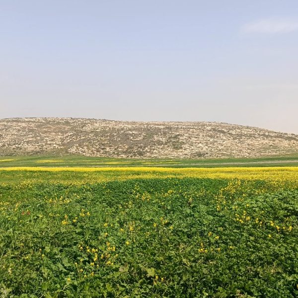 WhatsApp Image 2026-03-14 at 22.33.36 (1)