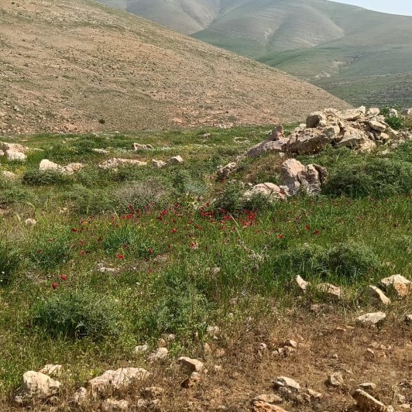 WhatsApp Image 2026-03-14 at 22.33.36 (2)