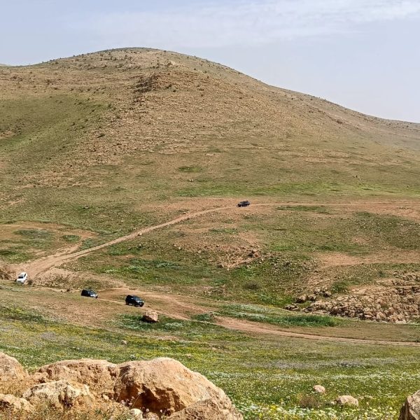 WhatsApp Image 2026-03-14 at 22.33.36 (3)