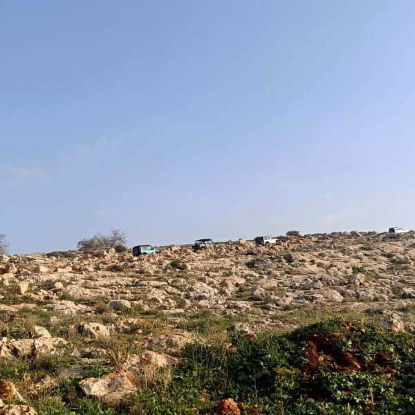 WhatsApp Image 2026-03-14 at 22.33.36